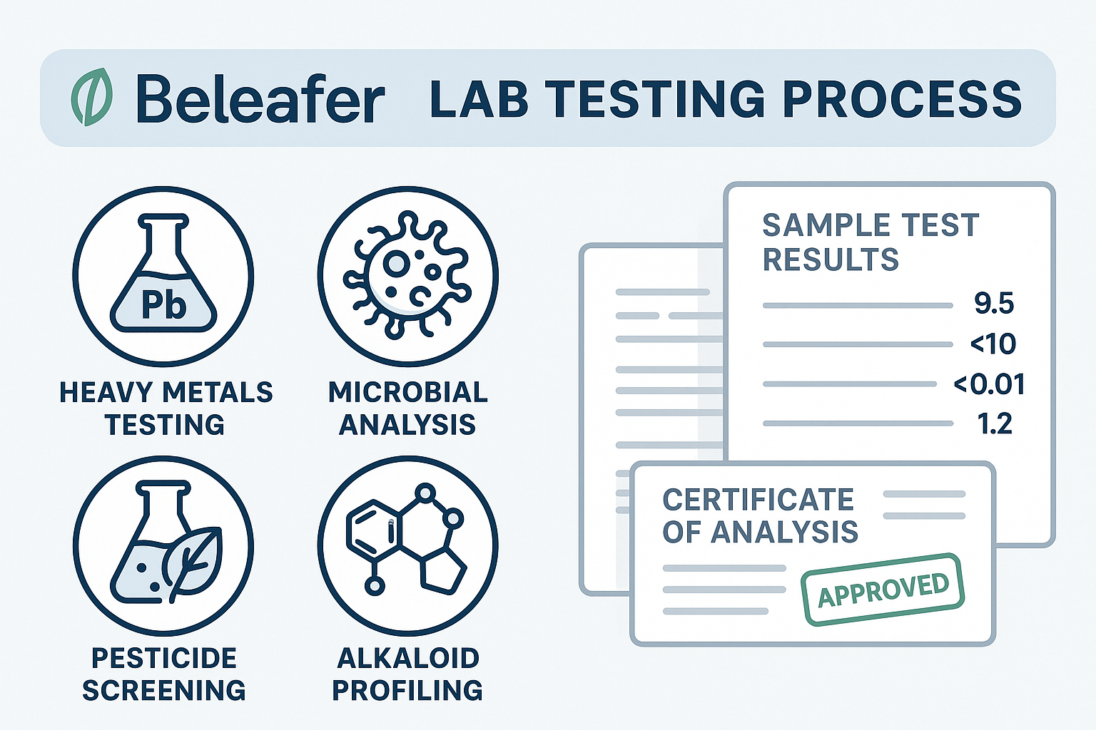 Design a 1536x1024 landscape infographic showing Beleafer's lab testing process with icons representing heavy metals testing, microbial anal