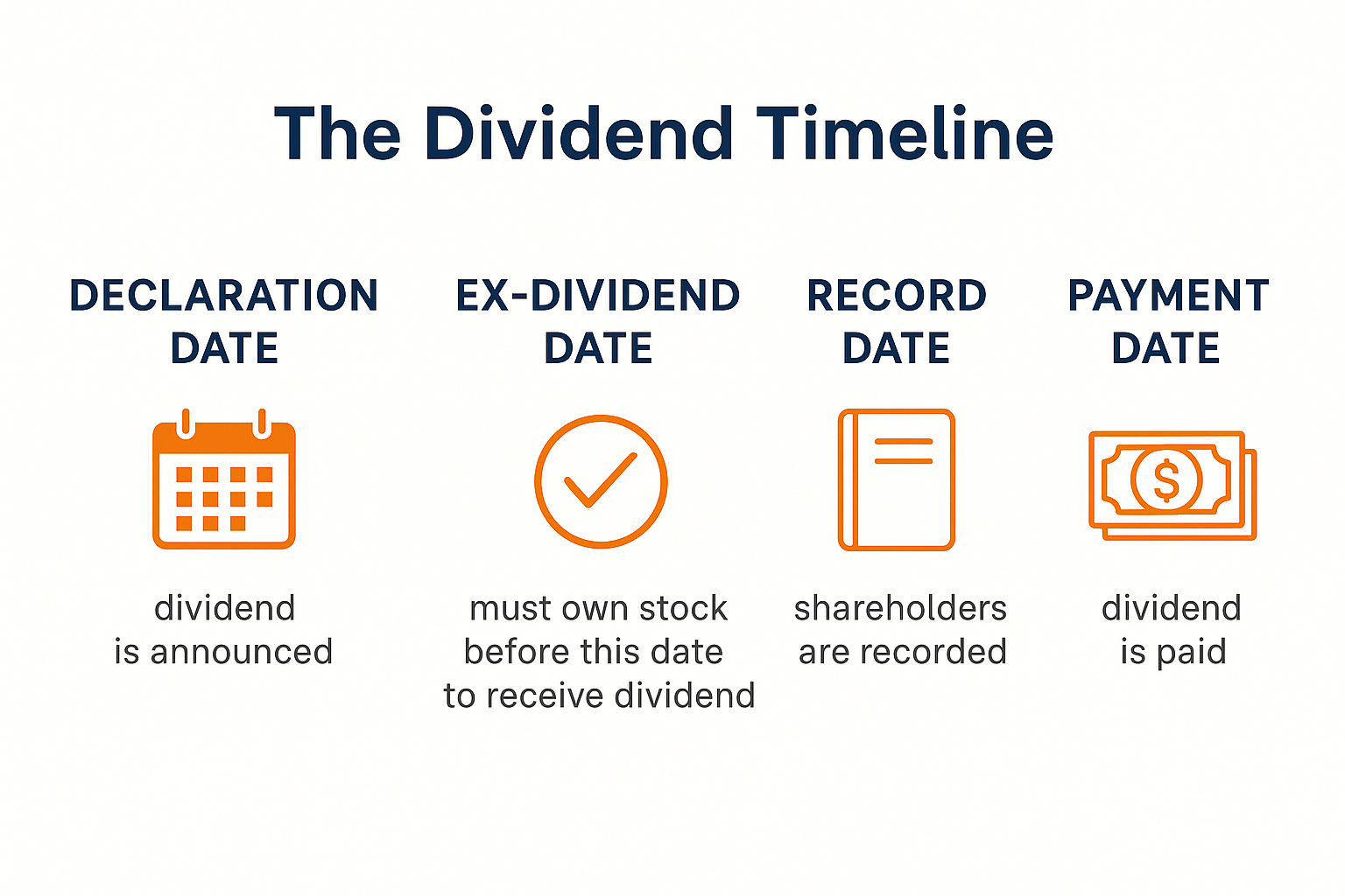 Infographic in 1536x1024 landscape format showing "The Dividend Timeline" with four clearly labeled sections from left to right: "Declaratio