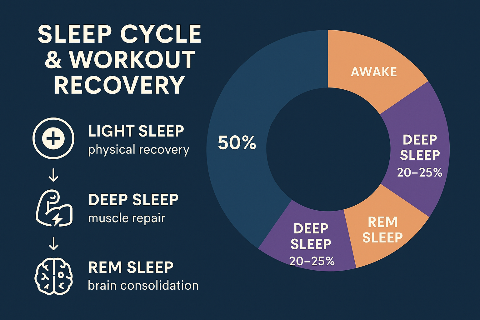 A landscape infographic (1536x1024) showing the sleep cycle stages and their impact on workout recovery. The design features a circular diag